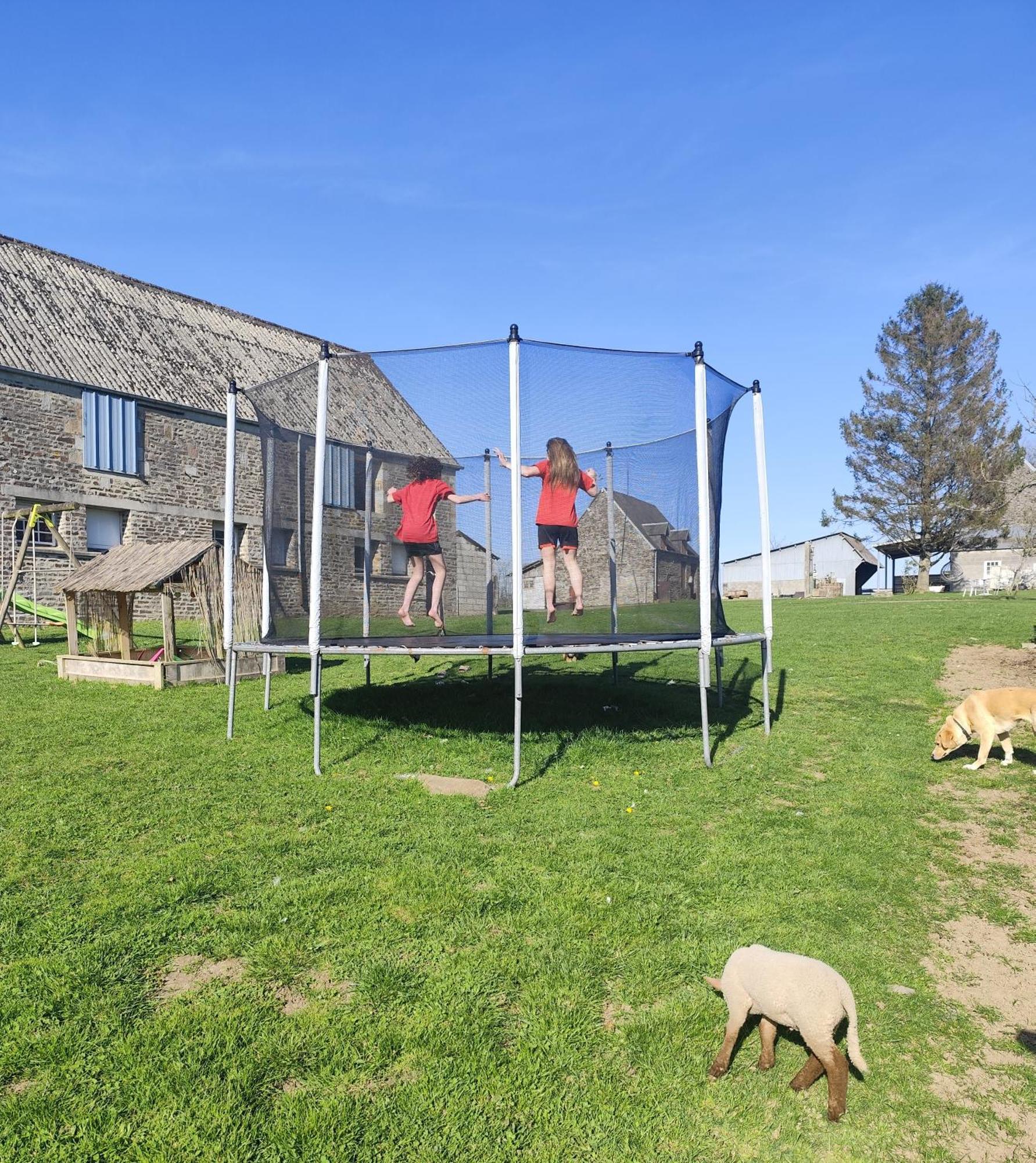 La Billardiere Camping A La Ferme Le Menil-Ciboult ภายนอก รูปภาพ