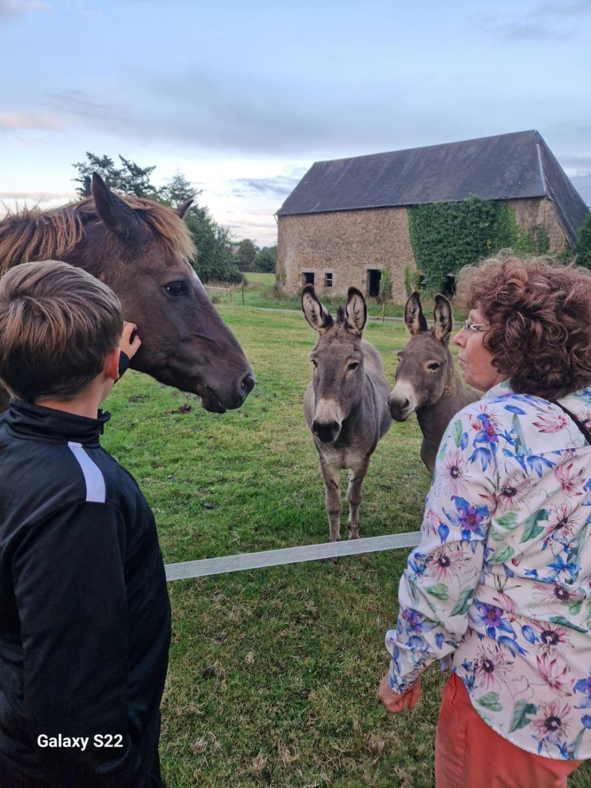 La Billardiere Camping A La Ferme Le Menil-Ciboult ภายนอก รูปภาพ